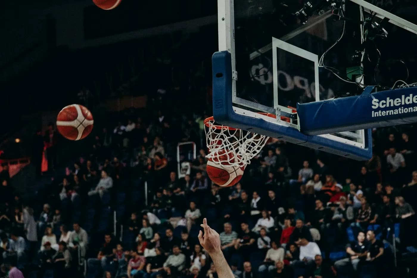 Partido de básquetbol de un torneo con el público en las gradas